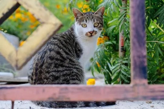 富士X-E3无反相机怎么样?