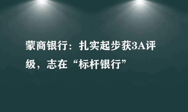 蒙商银行：扎实起步获3A评级，志在“标杆银行”