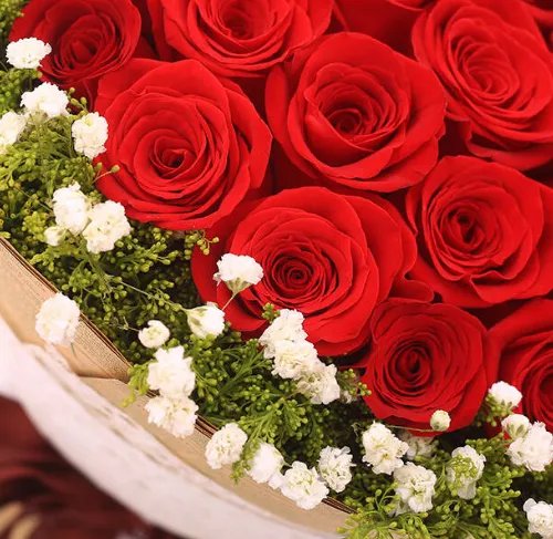 第一次送花应该送多少朵 第一次送花送什么花比较好