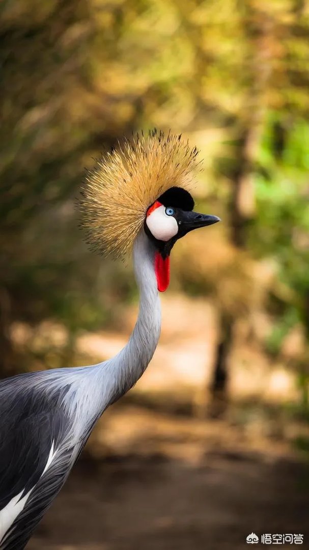 此刻的你，正在痛苦着什么呢？