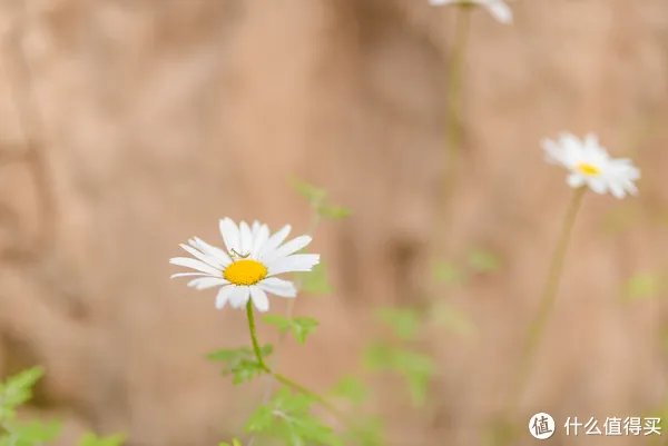 记一次黄河丹峡游记