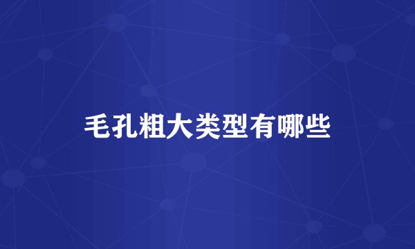 毛孔粗大类型有哪些