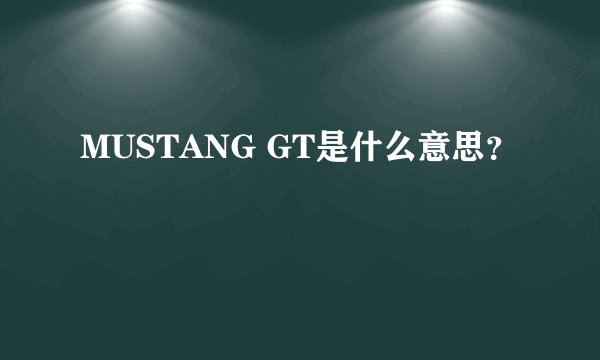 MUSTANG GT是什么意思？