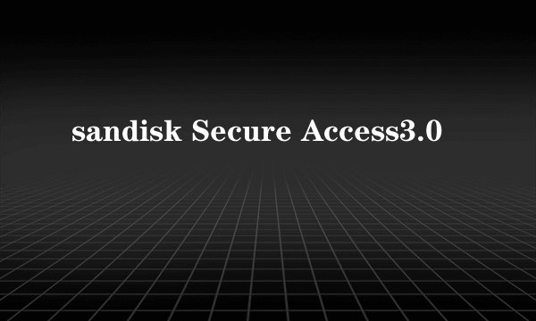 sandisk Secure Access3.0