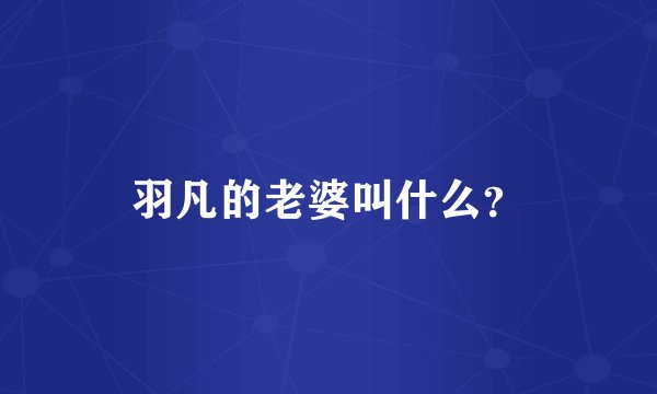 羽凡的老婆叫什么？