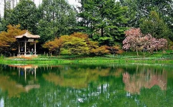 杭州的太子湾公园好玩吗？是否值得周末去玩？