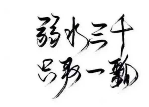 溺水三千只取一瓢是什么意思