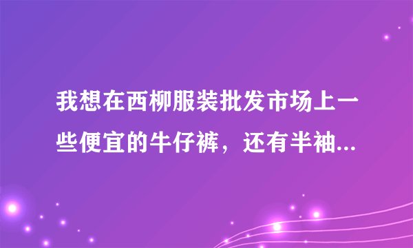 我想在西柳服装批发市场上一些便宜的牛仔裤，还有半袖、大裤衩，价格在5～10元的。请问现在好上吗？谁...