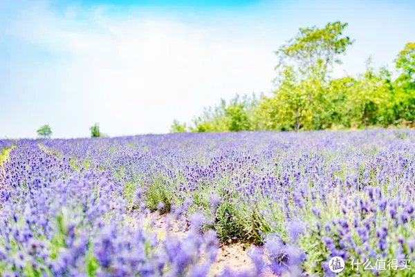 记一次黄河丹峡游记