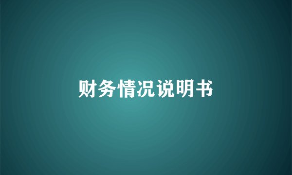 财务情况说明书