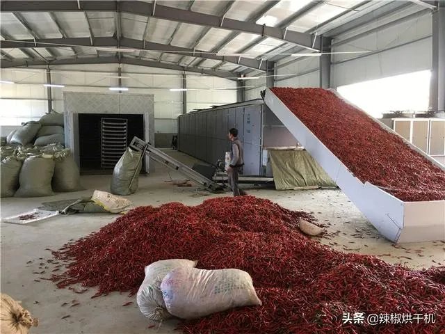 辣椒烘干机多少钱一台