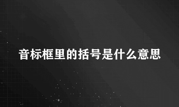 音标框里的括号是什么意思