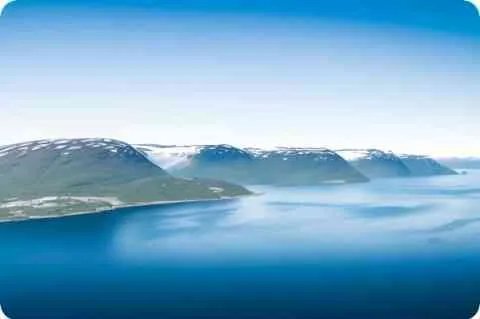 骚麦是什么意思?