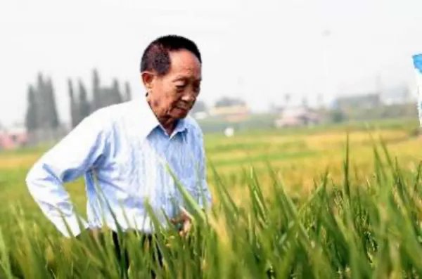 袁隆平说过的励志名言