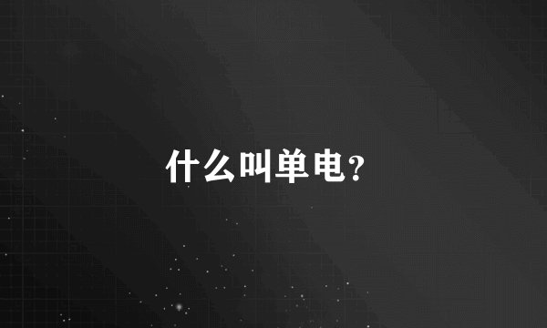 什么叫单电？