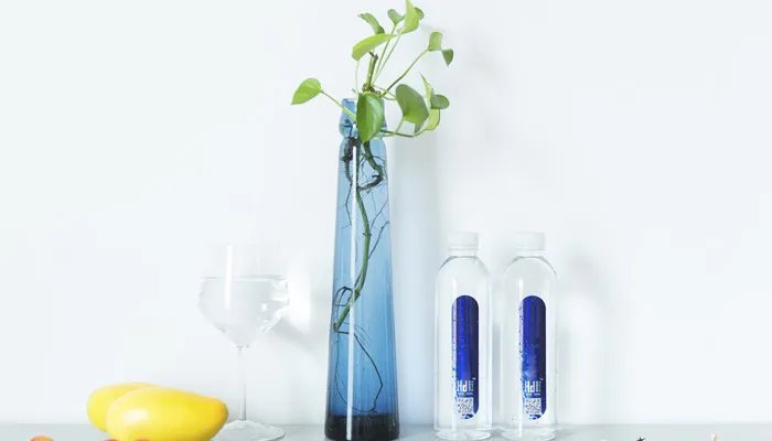 九里香怎么养殖 九里香的养殖方法