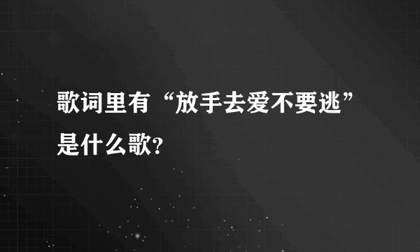 歌词里有“放手去爱不要逃”是什么歌？