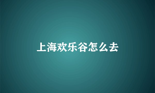 上海欢乐谷怎么去