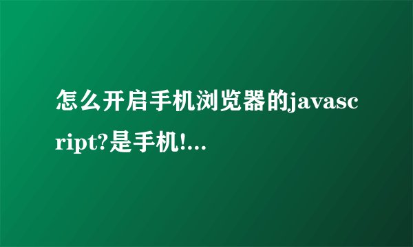 怎么开启手机浏览器的javascript?是手机!不是电脑!