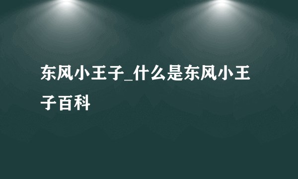 东风小王子_什么是东风小王子百科