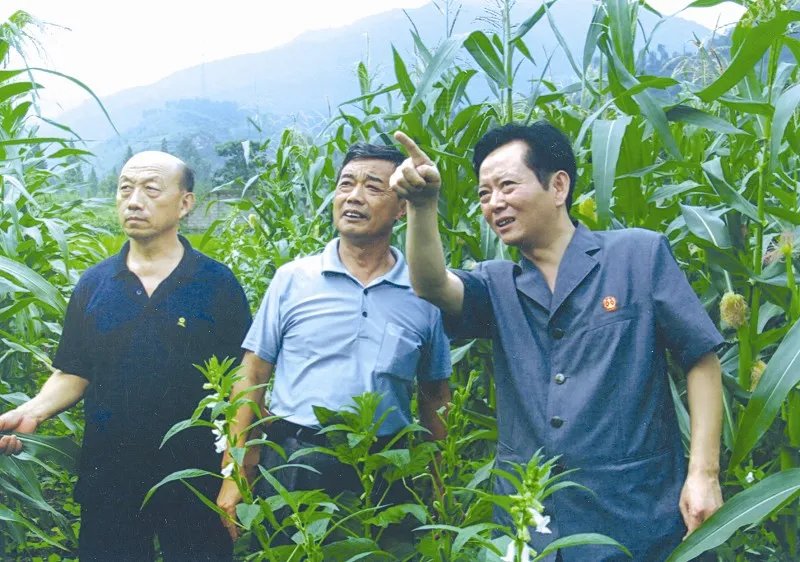 谁有柳华梅清晰照片，我有分赏啊！