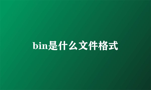 bin是什么文件格式