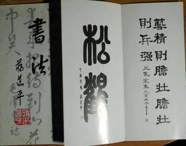 蒋道平的人物简介