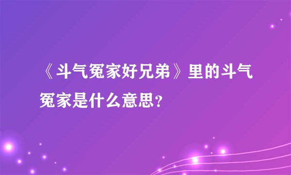 《斗气冤家好兄弟》里的斗气冤家是什么意思？