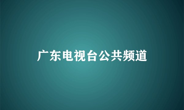广东电视台公共频道