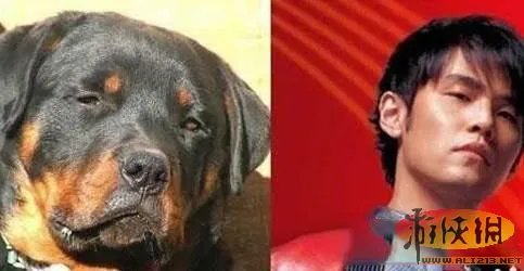 男女老少都有 盘点那些华丽丽的山寨周杰伦们