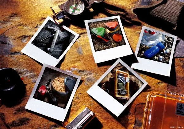 信托公司利润排名