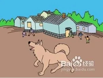 地震发生时应当如何保护自己?