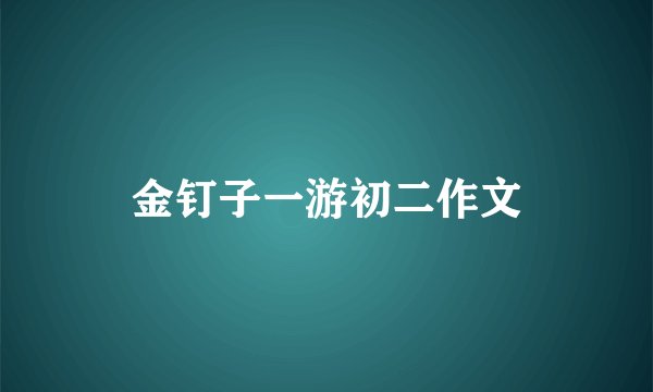 金钉子一游初二作文