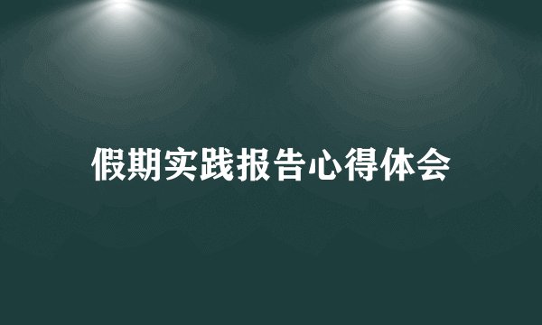 假期实践报告心得体会
