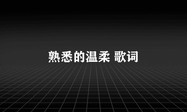 熟悉的温柔 歌词