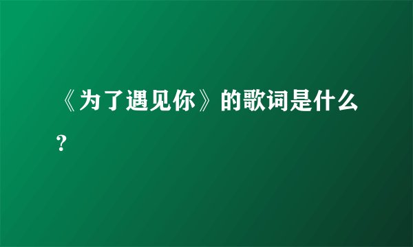 《为了遇见你》的歌词是什么？