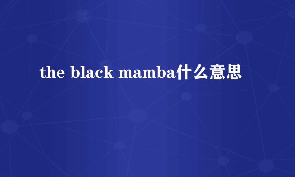 the black mamba什么意思