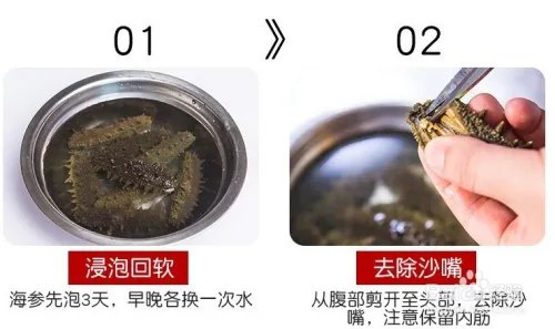 海参怎么泡发?海参泡发详解