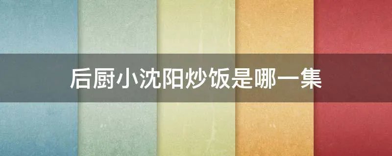 后厨小沈阳炒饭是哪一集