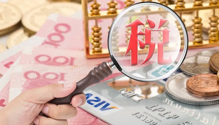 一般纳税人是什么 什么是一般纳税人