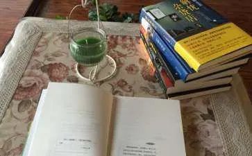 《一百条裙子》读书笔记优秀