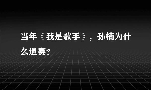 当年《我是歌手》，孙楠为什么退赛？