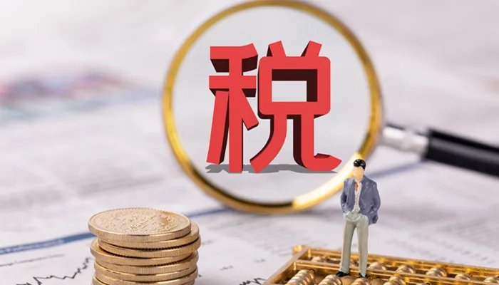 一般纳税人是什么 什么是一般纳税人