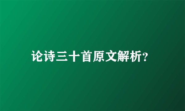 论诗三十首原文解析？