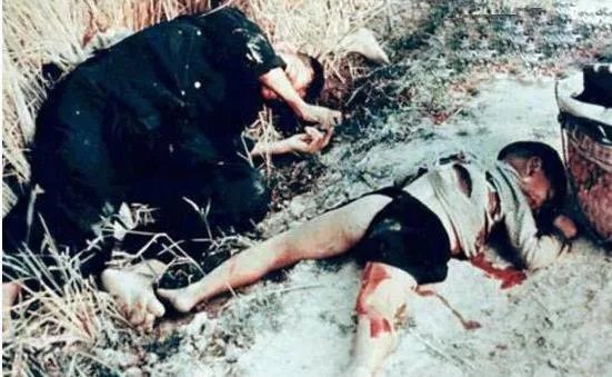 美莱村惨案事件全程：美越战争中的美莱村惨案真相