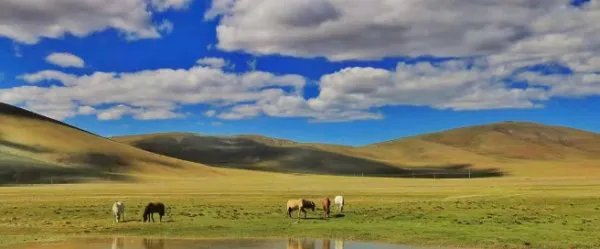 到底什么的人才想去西藏