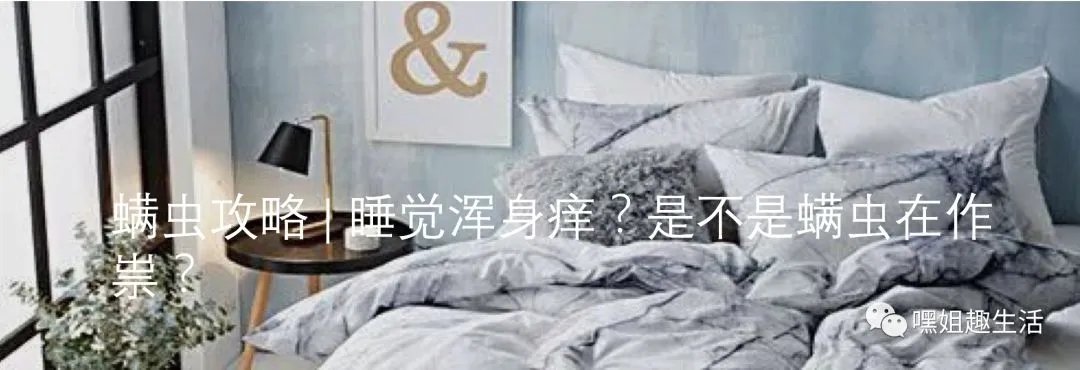 年底感恩季，哪些是最走心的礼物？（文末送礼！）