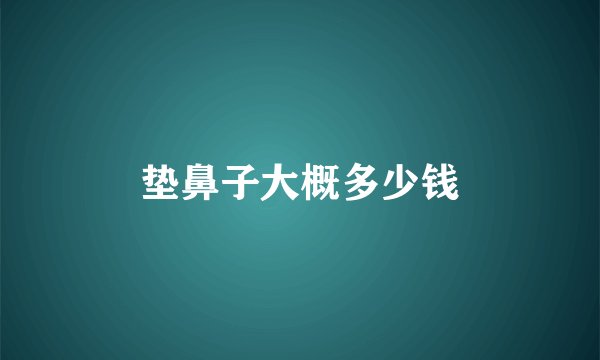垫鼻子大概多少钱