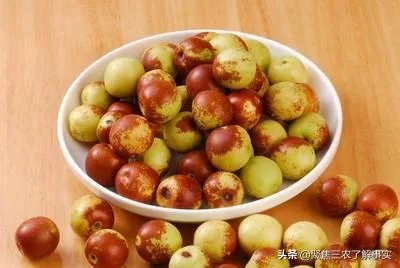 现在冬枣价格多少钱一斤？南方种植冬枣的前景如何？