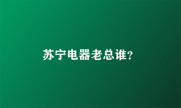 苏宁电器老总谁？